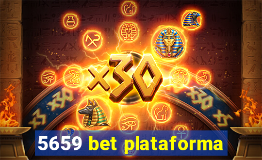 5659 bet plataforma